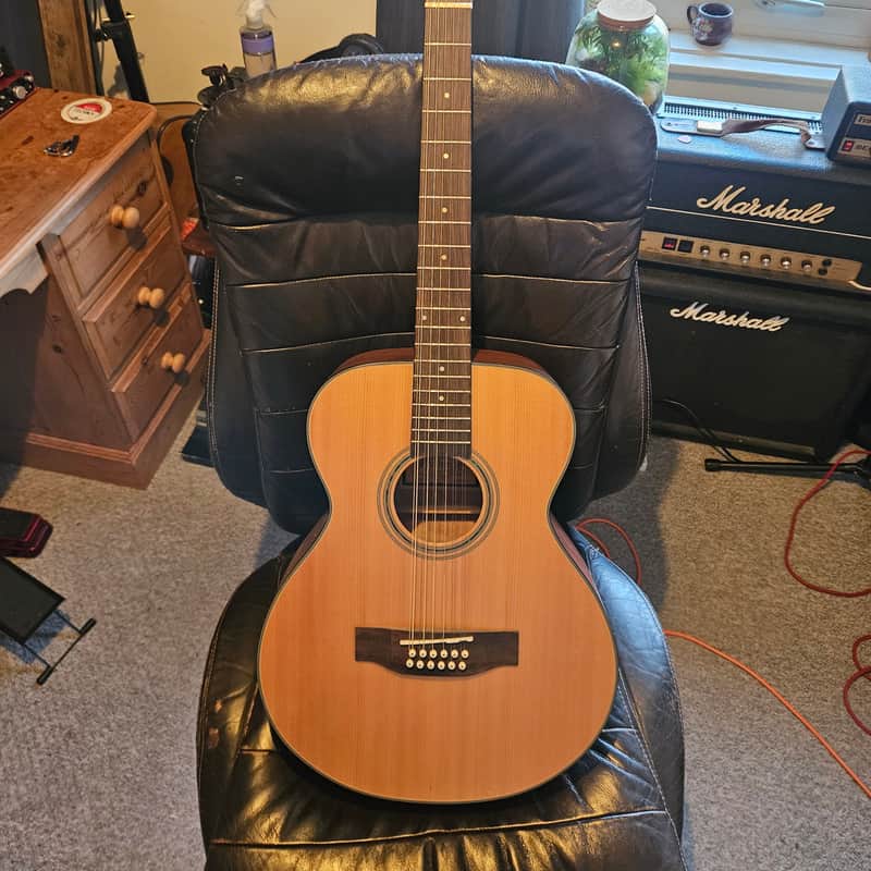 2010 Onwards Freshman Acoustic 12 string Natural