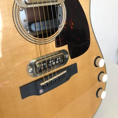 Kurt Cobain MTV Unplugged Guitar & Case Replicas image 8