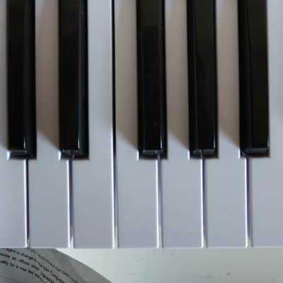 Arturia KeyLab Essential 49 MIDI Controller 2017 - Present - White image 4