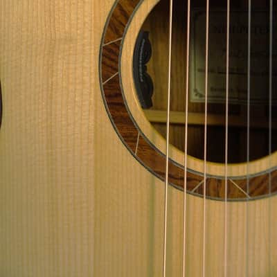 Peterson D-100 MY (2021) USA Handbuilt Boutique Acoustic Dreadnought - Fishman Matrix Infinity, OHSC image 23