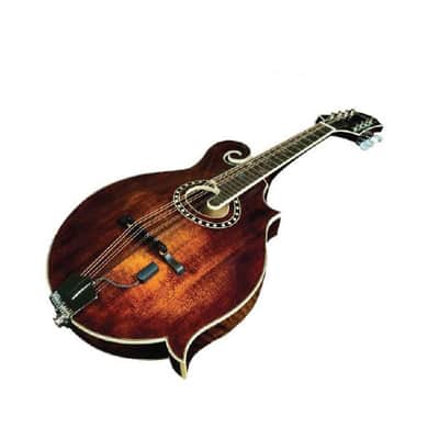 LR Baggs | Radius-M Mandolin Pickup with External Jack Mount. New with Full Warranty! image 3
