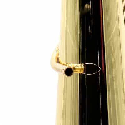 Eastman EBF861 Professional F Tuba in Clear Lacquer image 13