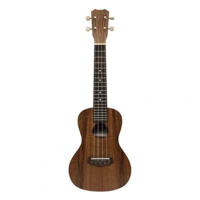Islander AC-4 FLAMED Flamed Acacia Top Okume Neck Traditional 4-String Concert Acoustic Ukulele image 3