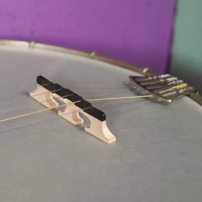 1925 Weymann Style 150 Resonator 5-String Banjo (VIDEO! Fresh Work, Ready) image 8