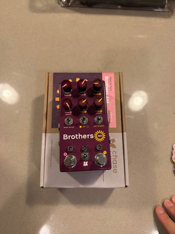 Chase Bliss Audio Brothers AM