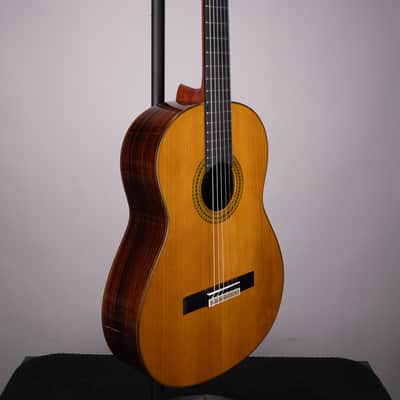 Yamaha GC22C Classical Guitar – Solid Cedar & Rosewood with Case image 3