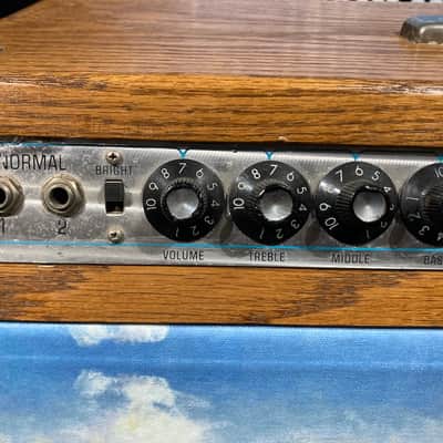 Charlie Daniels' Fender 1969 Twin Reverb Amp with Custom Cowboy Painting Front Panel 1969 - Mahogany image 5