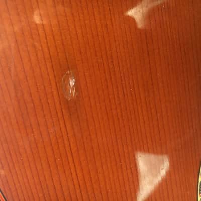 Alvarez CY116 By Kazuo Yairi Classical G CY-116 1991 Natural image 9
