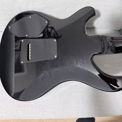 PRS 509 2022 - Charcoal burst image 8