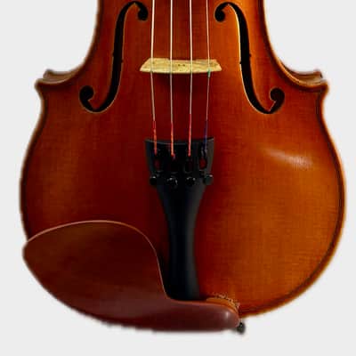 DZ Strad Model 609 4/4 size image 1