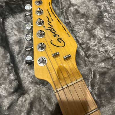 Godin Passion RG-3 MN 2023 - Present - Indigo Burst image 3