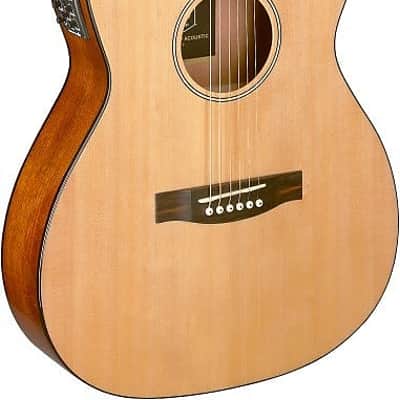 James Neligan BES-ACE N Auditorium Solid Spruce Top Mahogany Neck 6-String Acoustic-Electric Guitar image 2