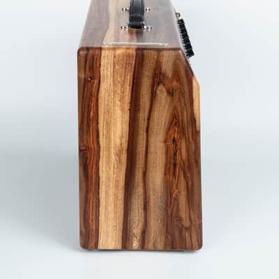 Denver Amp Works BlackFace Princeton Reverb 2020s Indian RoseWood image 4