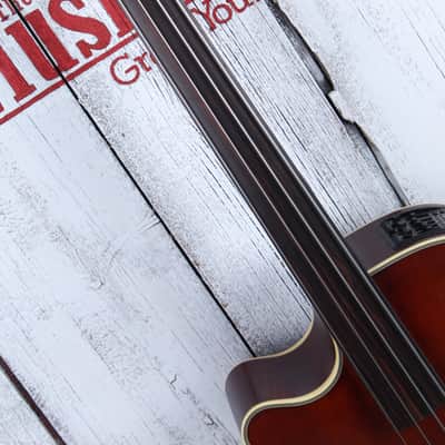 Takamine TB10LH 4 String Fretless Upright Acoustic Electric Bass Guitar w Case image 16