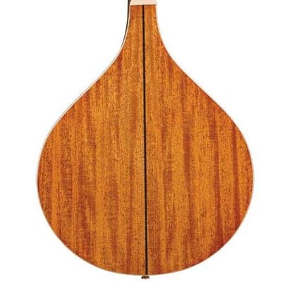 Gold Tone Model OM-800+ 8-String Solid Spruce Top Octave Mandolin with Hard Case image 3