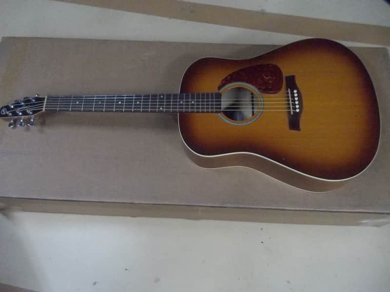 Seagull Entourage Rustic Dreadnought Acoustic Guitar Player!! image 1