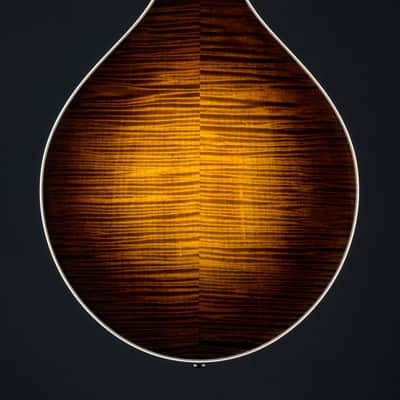 Collings MT2 Mandola Sunburst Adirondack Spruce and Flamed Maple NEW image 5