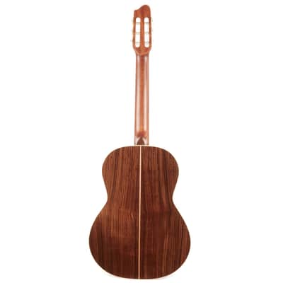 Godin Collection Cedar & Rosewood Classical Guitar image 4