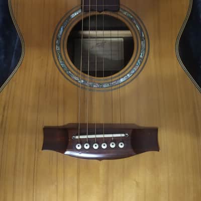 Maton Signature Ben Harper Lap Steel Natural image 3
