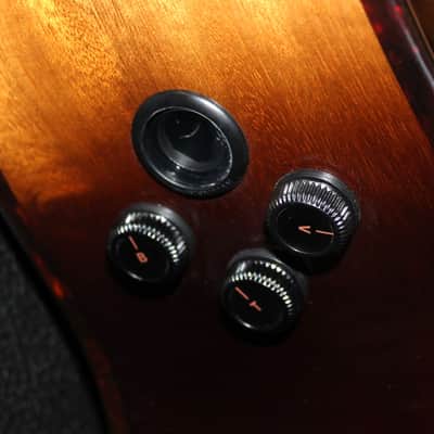 2023 Breedlove - Artista Pro Concert CE - Burnt Amber image 2