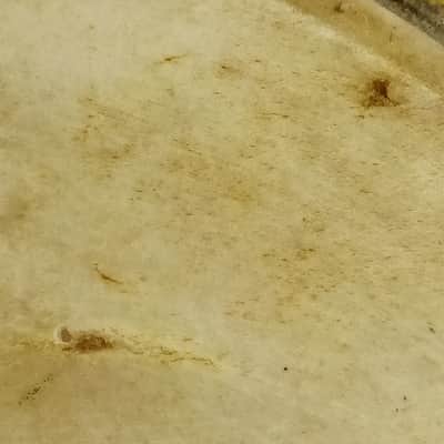 Slingerland 13" Supertone Calf Skin Tom Drum Head Batter/Resonant Vintage 30s US image 3