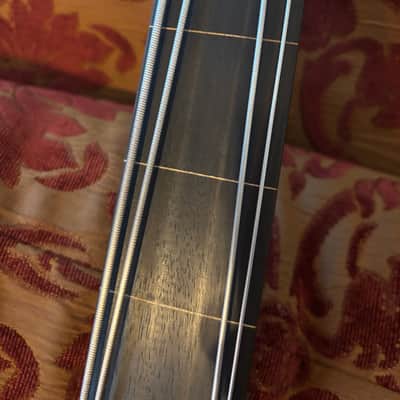 Immagine Ken Smith BT F4 TNV Black Tiger lined fretless Bass Guitar w Hard Case 2008 - 10