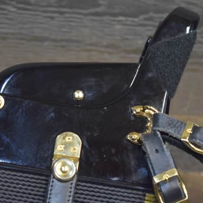 Dino Baffetti Super I 2-Row 8-Bass 21-Treble Button D/C# Black Diatonic Accordion w/Bag image 21