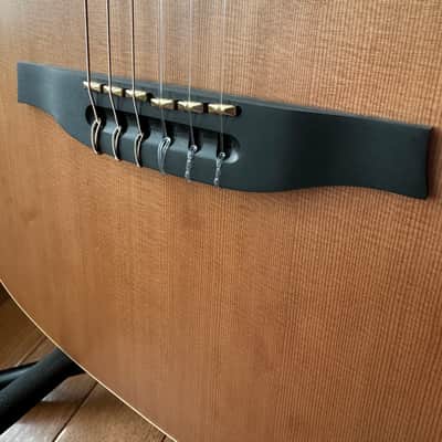 Godin Multiac ACS SA Nylon image 5