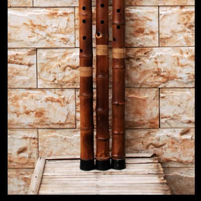 Long-Xiao Flute-Smoked Bamboo – Concert-Tuned Key E/D/C/B (Lowest Note), 8 Holes, 3 Piece - Smoked Finish with Lacquer Protection Inside, Xiao's tail is covered with buffalo horns image 2