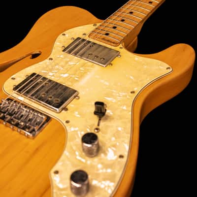 Fender Telecaster Thinline 1972 image 6
