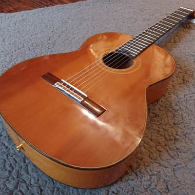 Antonio Raya Pardo Granada  - French Polish image 1