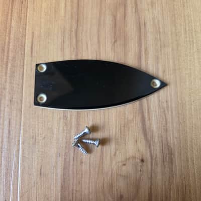Vintage 1960's Gretsch Guitar Truss Rod Cover w/ Mounting Screws! image 1