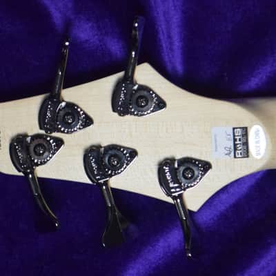 Dingwall Combustion 5 (3 Pickup), Whalepool Burst/Pau Ferro *On Order, ETA Jan. 2023 image 4