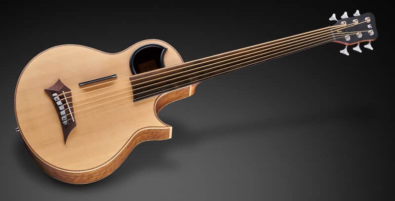 Warwick 1376909001CFOVSMWW Alien 6-String Fretless Acoustic Bass Guitar w/Hey Key Tools & Cloth image 1