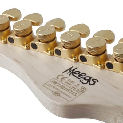 Schecter Meegs PT EX Charcoal Burst image 14