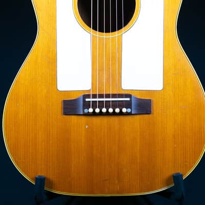 Gibson F-25 1965 image 12