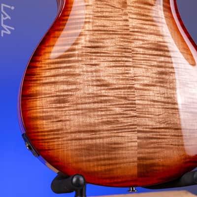 PRS Wood Library Hollowbody II 594 10-Top Brazilian RW Fretboard Autumn Burst Custom Color image 11