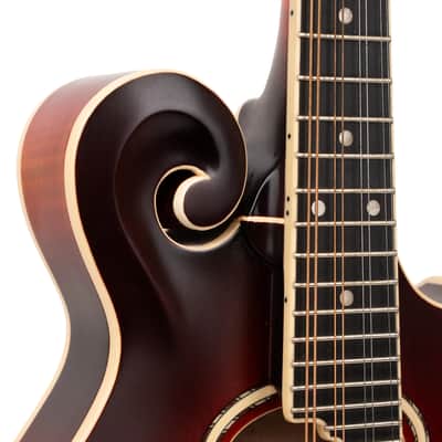 Gold Tone GM-80: F-Style Mandolin with Case image 4