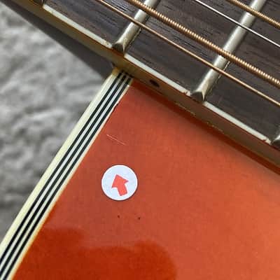 Farida 12 String Acoustic Guitar, Spruce Top Body, Mahogany Neck, Rosewood Fingerboard image 11