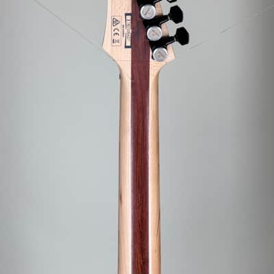 Ibanez RGAIX6FM Gray image 19