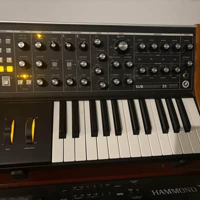Moog Subsequent 25 Analog Synth 2020 - Present - Black