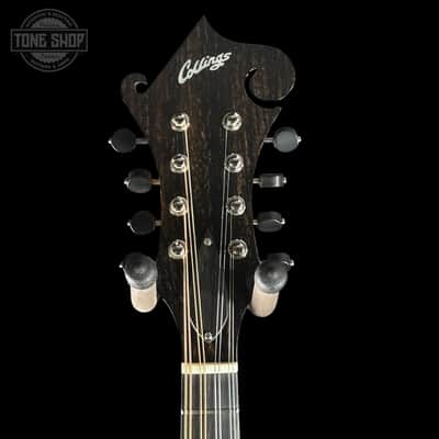 Collings MF Mandolin Gloss Top Sunburst w/Case F2396 image 5