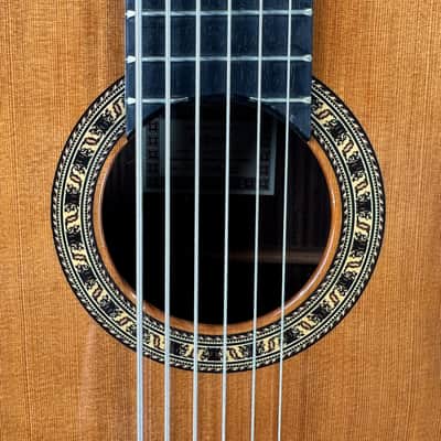 6 String Contrabass Guitar (Octave Bass) - Esteve PS75 - All Solid Wood/Cedar/Indian Rosewood - 750mm Scale Length image 22