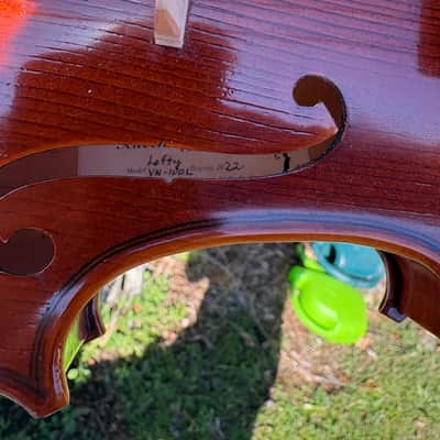 Fiddleheads violins VN100L 2022 - Gloss image 5