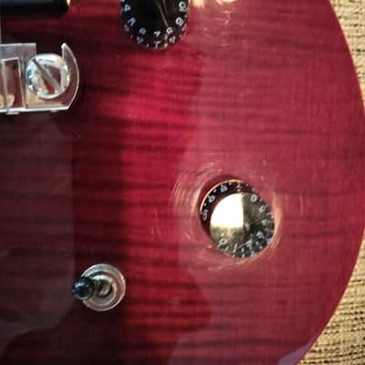 PRS SE Custom Semi-Hollow 2010 image 6