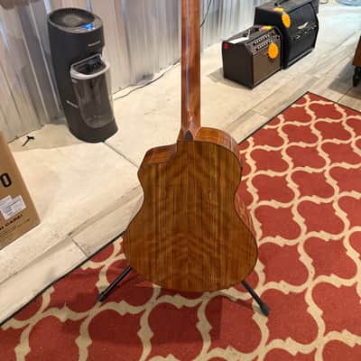 Washburn BTS9VCECH-D Bella Tono Vite S9V - Acoustic Electric (USED) image 7