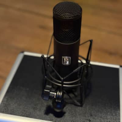 Slate Digital ML-1 Cardioid Condenser Microphone image 2