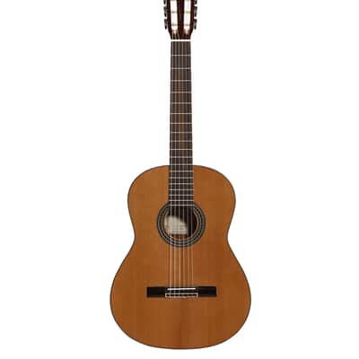 Alvarez   Ac65 Artist image 2