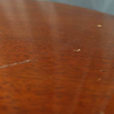 Suzuki F-100 Japan Acoustic Guitar image 21