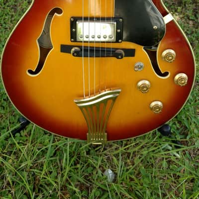Samick Greg Bennett Royale Series: RL5 guitar image 2